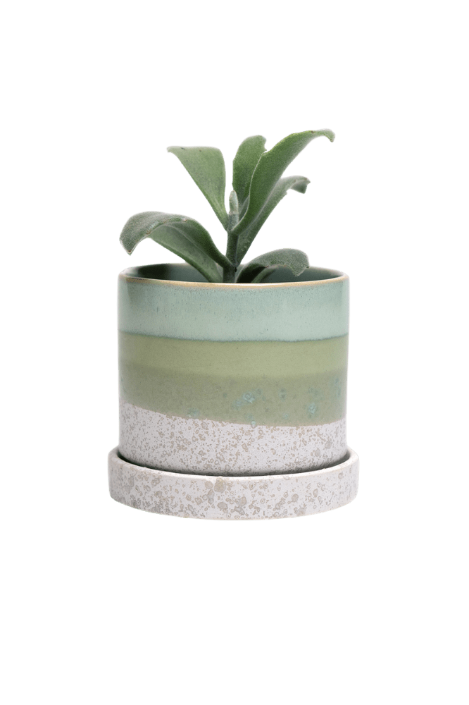 Minute Ceramic Pot And Saucer Set With Drainage | 3 inch - Chive Ceramics Studio - Pots - Chive Ceramics Studio