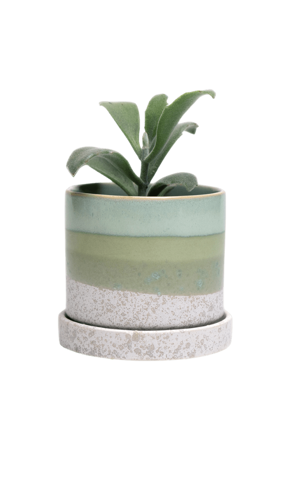 Minute Ceramic Pot And Saucer Set With Drainage | 3 inch - Chive Ceramics Studio - Pots - Chive Ceramics Studio