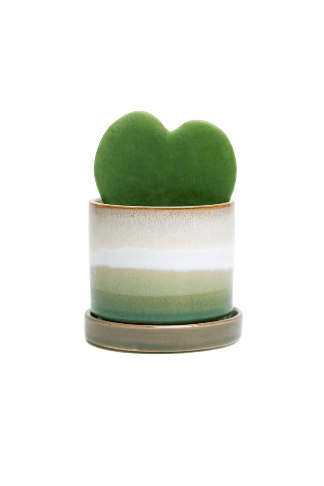 Minute Ceramic 3" Pot And Saucer Set - Chive Ceramics Studio - Pots - Chive Ceramics Studio