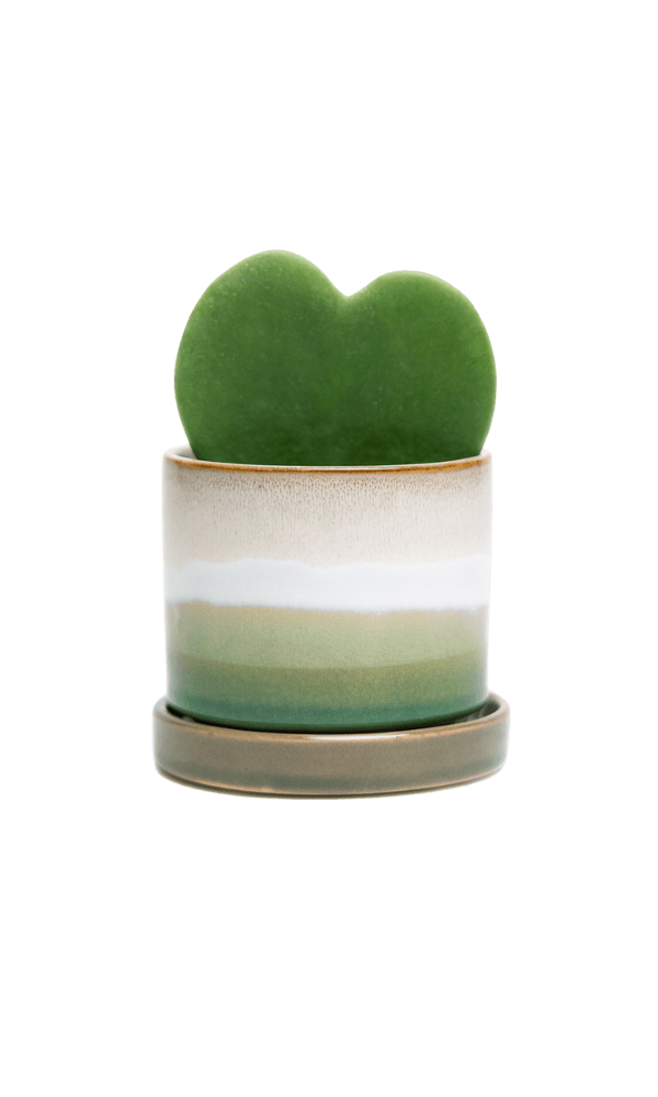 Minute Ceramic 3" Pot And Saucer Set - Chive Ceramics Studio - Pots - Chive Ceramics Studio