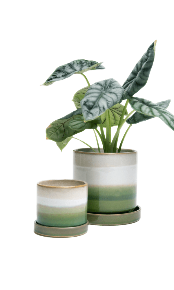 Minute Ceramic Pot And Saucer Set With Drainage | 3 & 5 inches - Chive Ceramics Studio - Pots - Chive Ceramics Studio