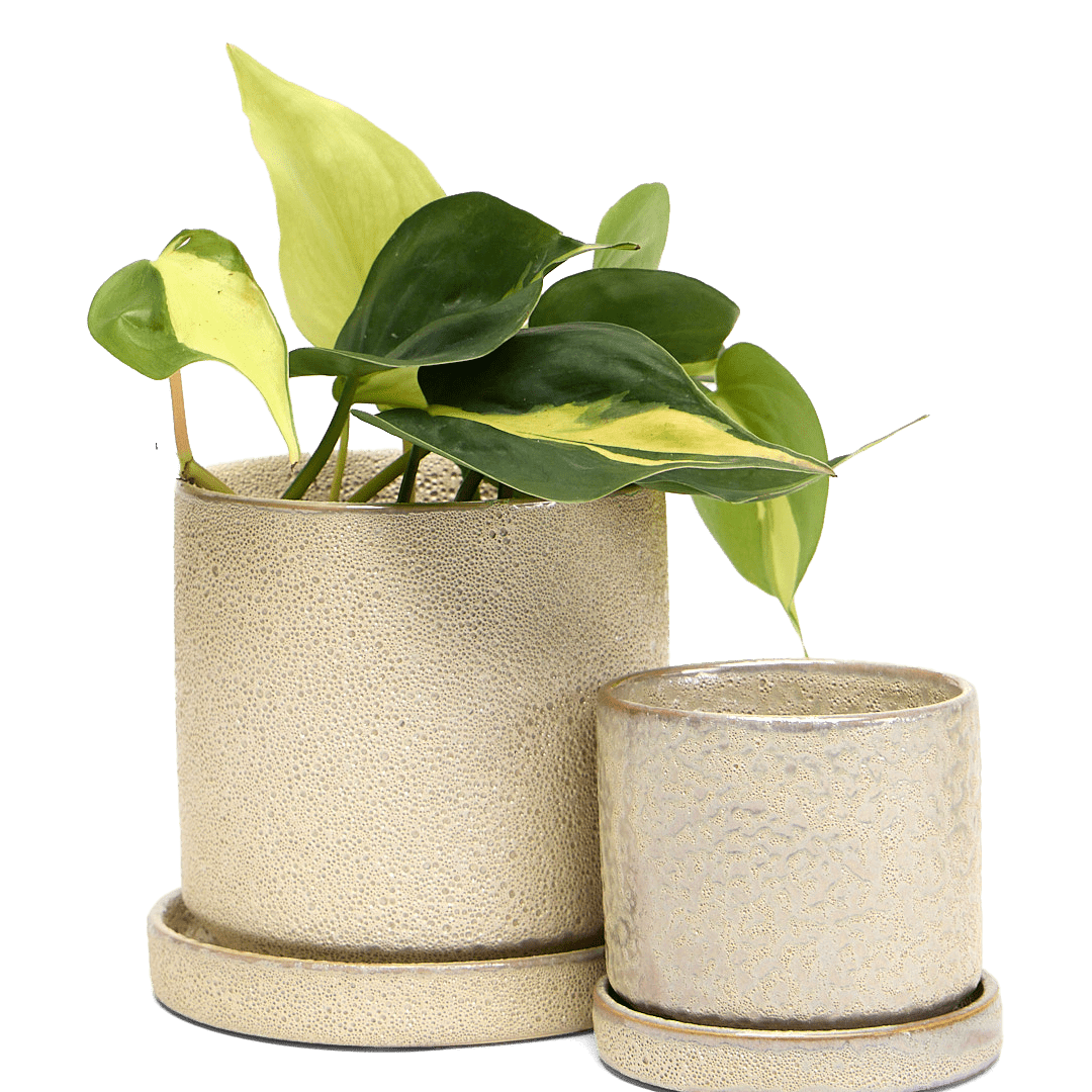 Minute Ceramic Pot And Saucer Set With Drainage - Chive Ceramics Studio - Pots - Chive Ceramics Studio