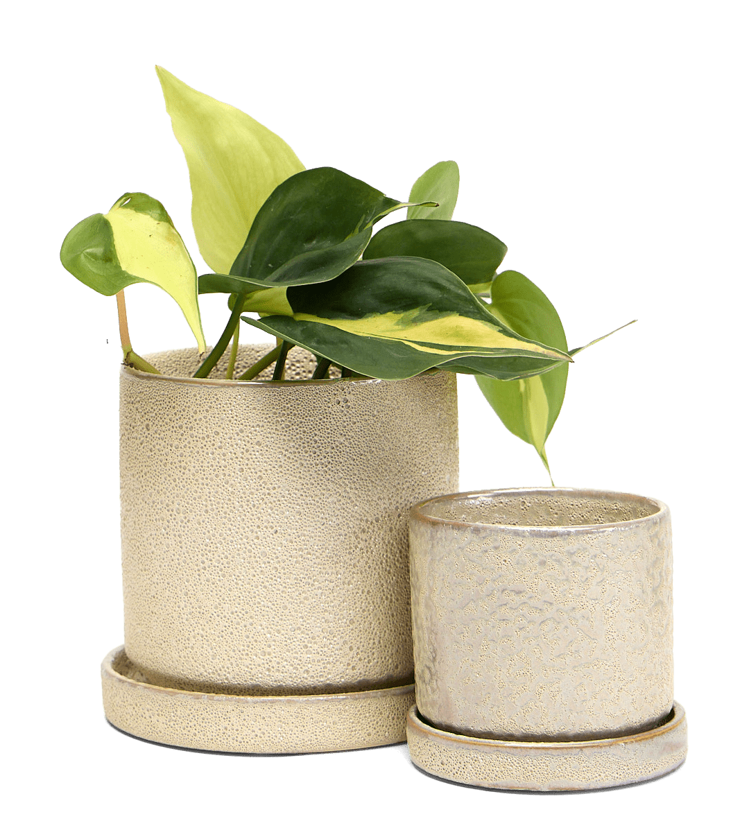 Minute Ceramic Pot And Saucer Set With Drainage - Chive Ceramics Studio - Pots - Chive Ceramics Studio