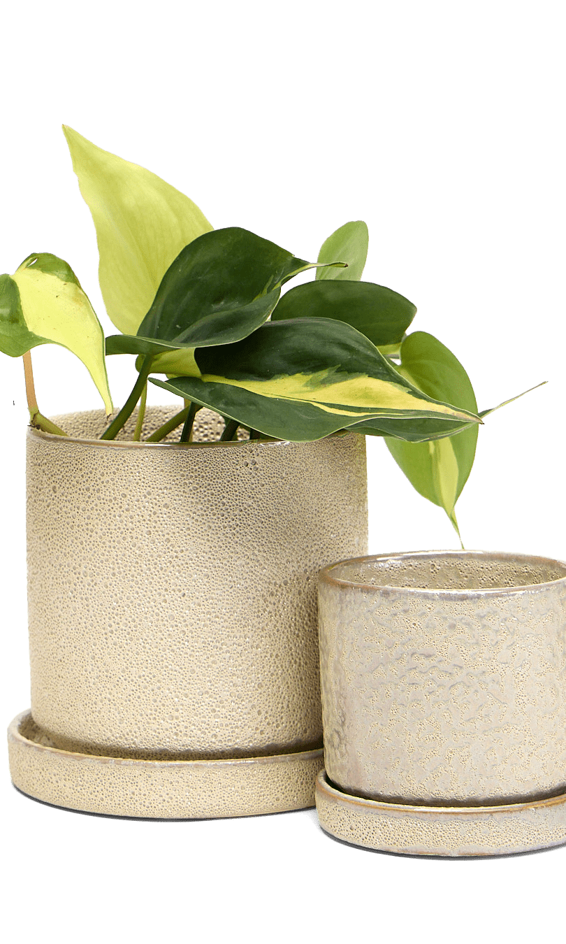 Minute Ceramic Pot And Saucer Set With Drainage - Chive Ceramics Studio - Pots - Chive Ceramics Studio