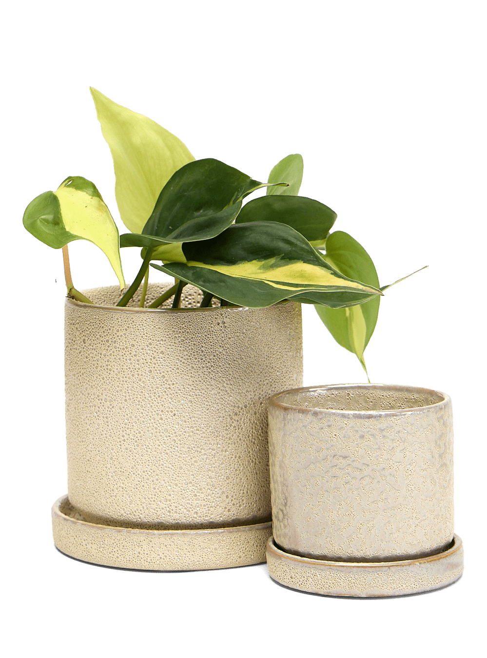 Minute Ceramic Pot And Saucer Set With Drainage - Chive Ceramics Studio - Pots - Chive Ceramics Studio