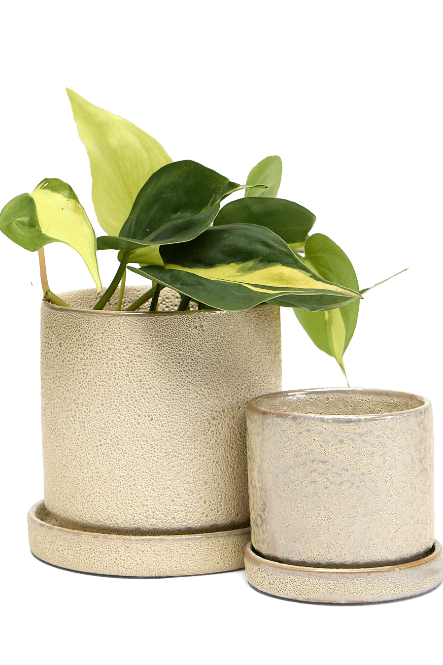 Minute Ceramic Pot And Saucer Set With Drainage - Chive Ceramics Studio - Pots - Chive Ceramics Studio
