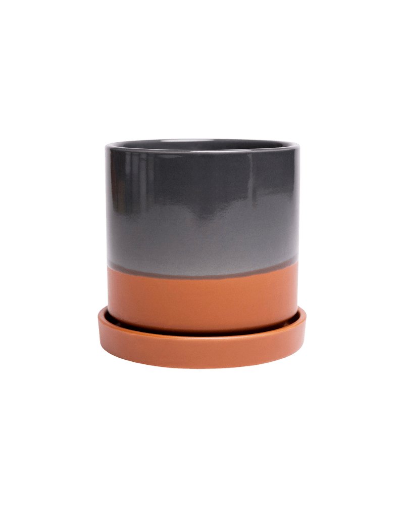 Minute Ceramic 3" Pot And Saucer Set - Chive Ceramics Studio - Pots - Chive Ceramics Studio