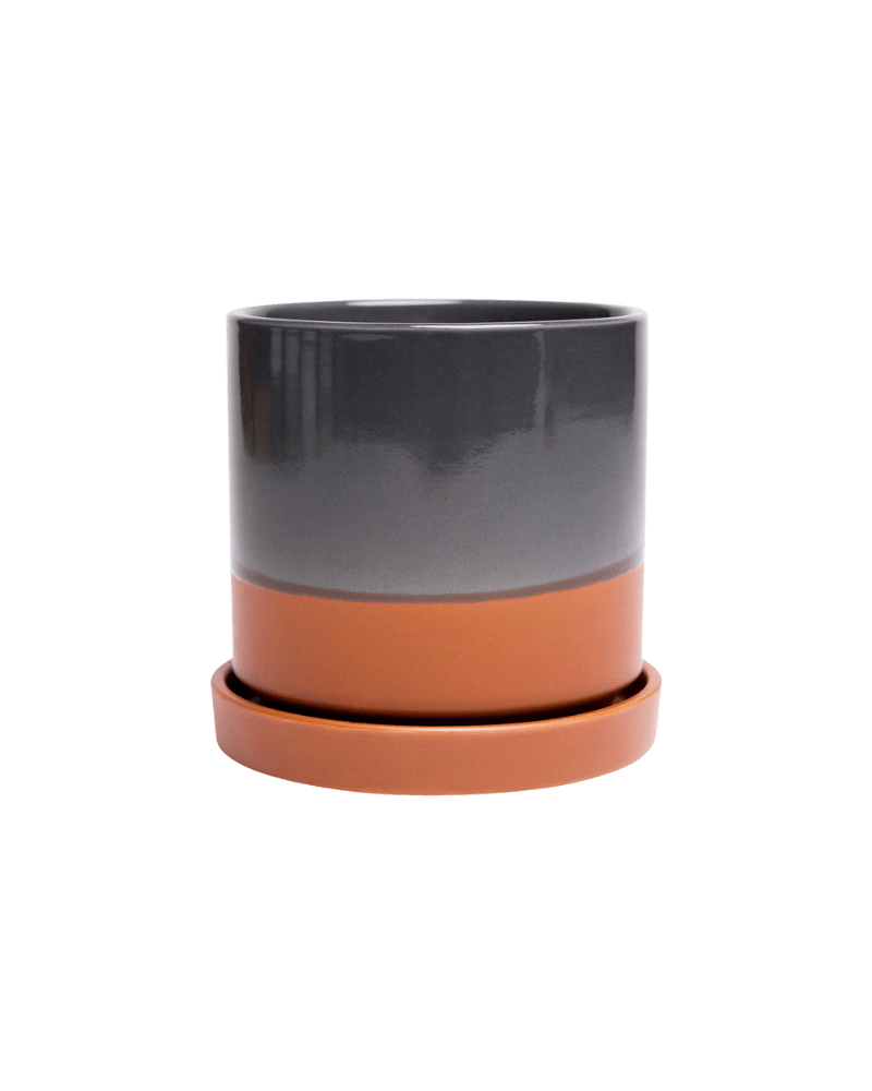 Minute Ceramic 3" Pot And Saucer Set - Chive Ceramics Studio - Pots - Chive Ceramics Studio