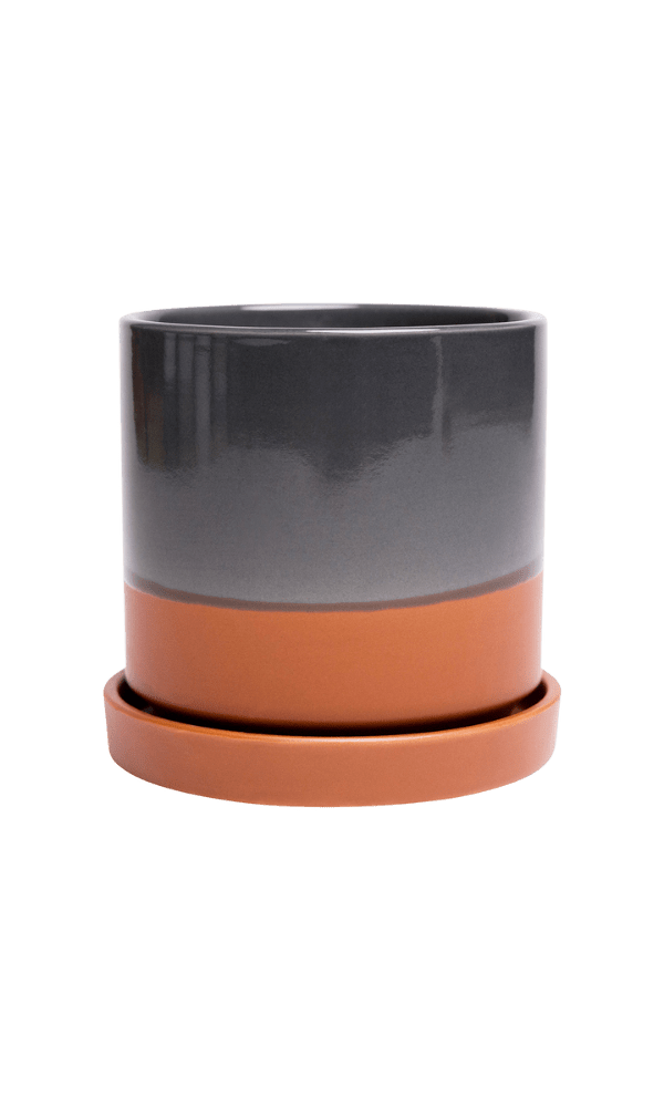 Minute Ceramic 3" Pot And Saucer Set - Chive Ceramics Studio - Pots - Chive Ceramics Studio