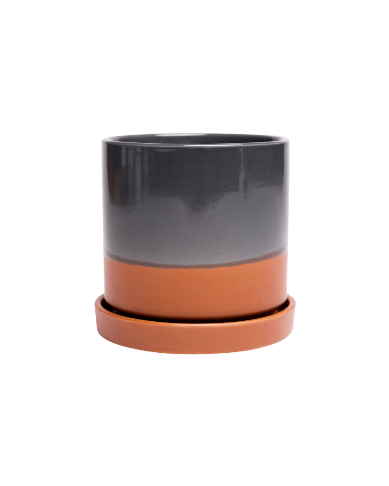 Minute Ceramic 3" Pot And Saucer Set - Chive Ceramics Studio - Pots - Chive Ceramics Studio