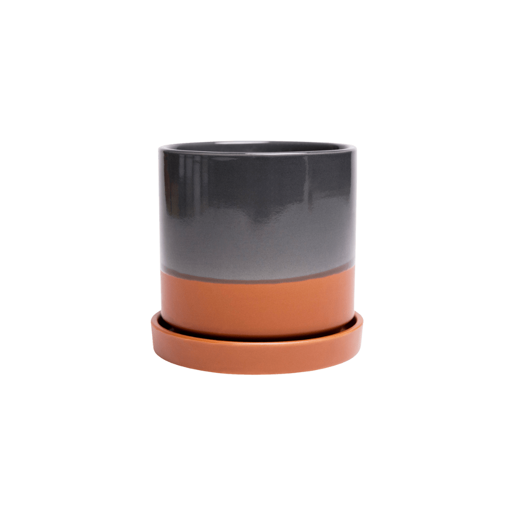 Minute Ceramic 3" Pot And Saucer Set - Chive Ceramics Studio - Pots - Chive Ceramics Studio