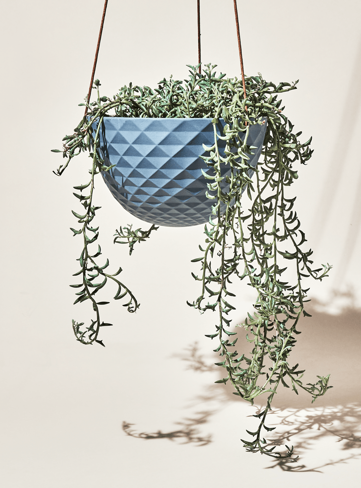 Mofo Porcelain Modern Hanging Planter - Chive Ceramics Studio - Pots - Chive US