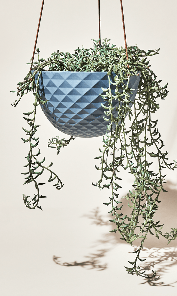 Mofo Porcelain Modern Hanging Planter - Chive Ceramics Studio - Pots - Chive US