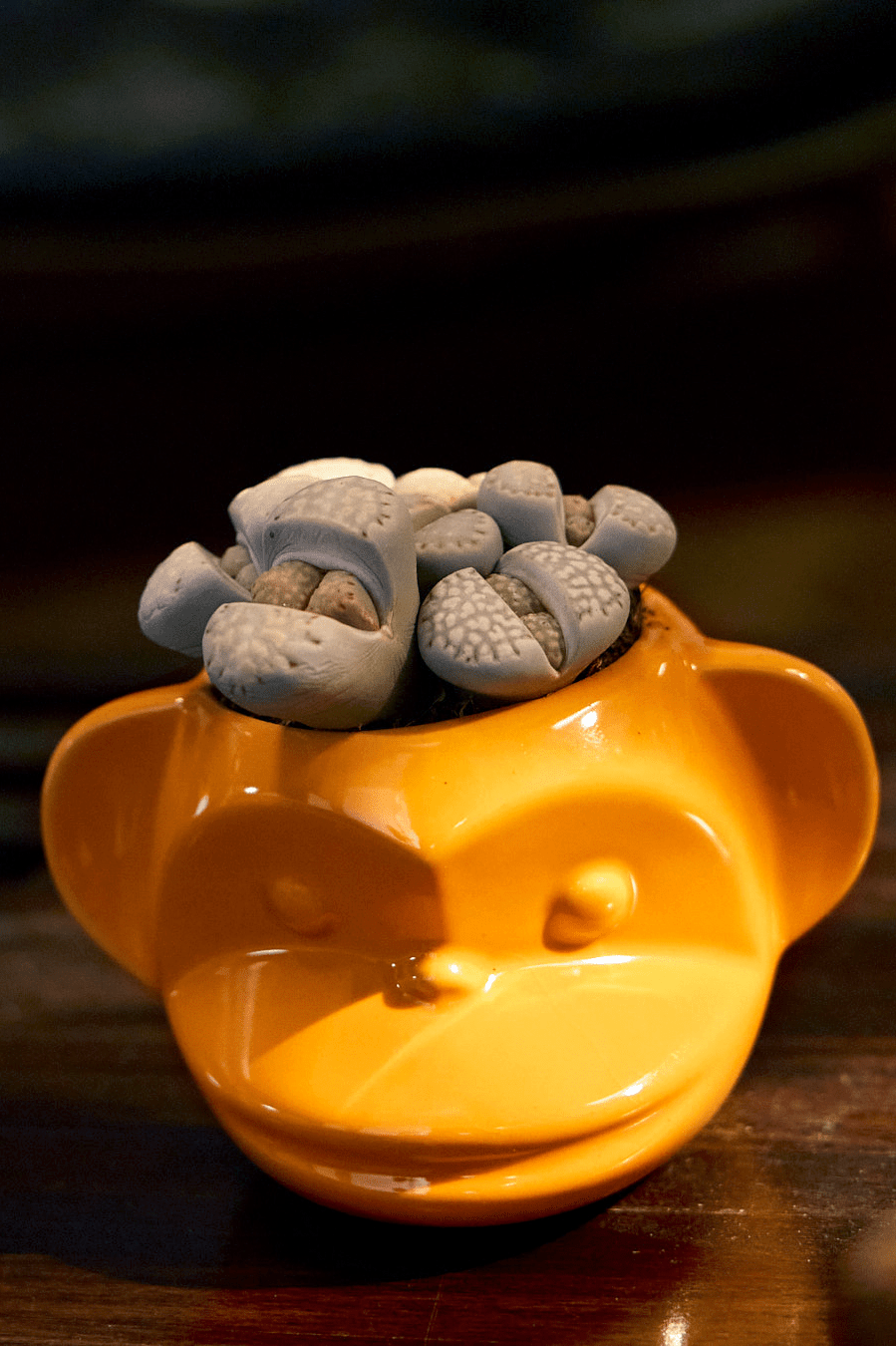 Funky Monkey Planter - Chive Ceramics Studio - Pots - Chive Ceramics Studio