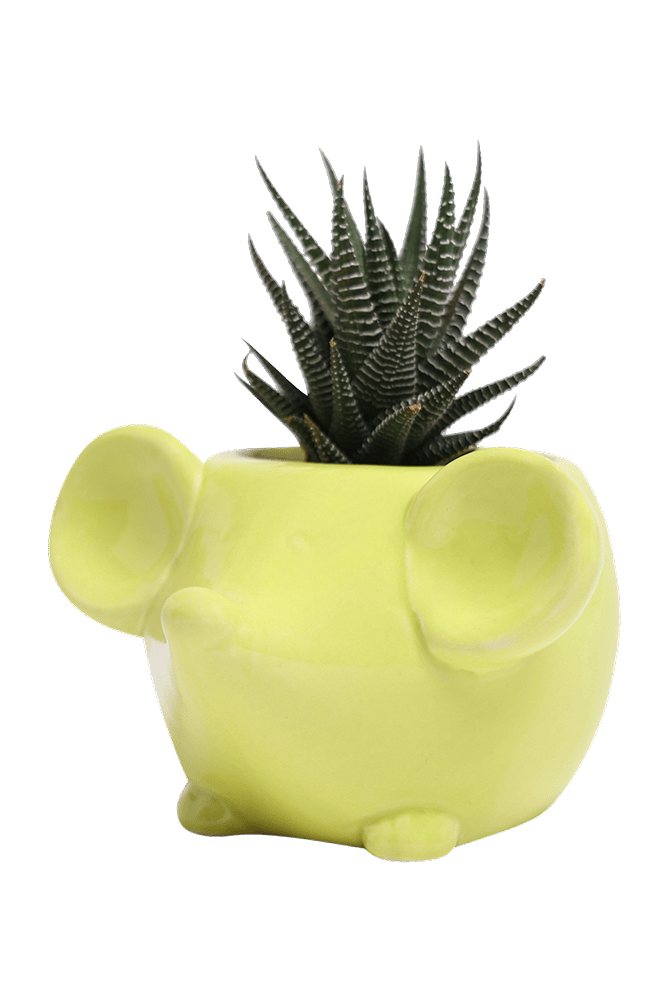 Mouse Ceramic Indoor Plant Pot For Succulents - Chive Ceramics Studio - Pots - Chive US