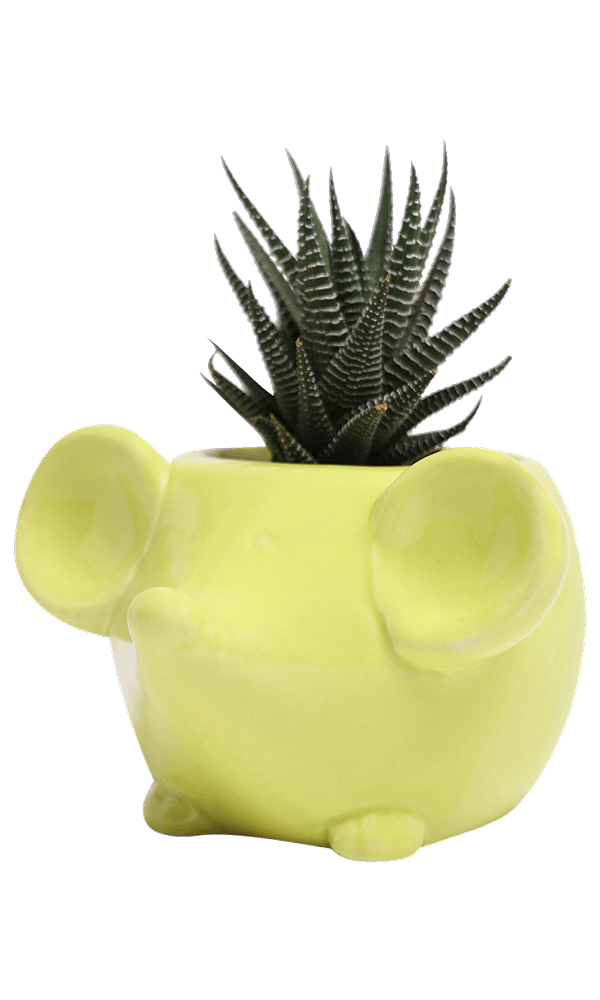 Mouse Ceramic Indoor Plant Pot For Succulents - Chive Ceramics Studio - Pots - Chive US
