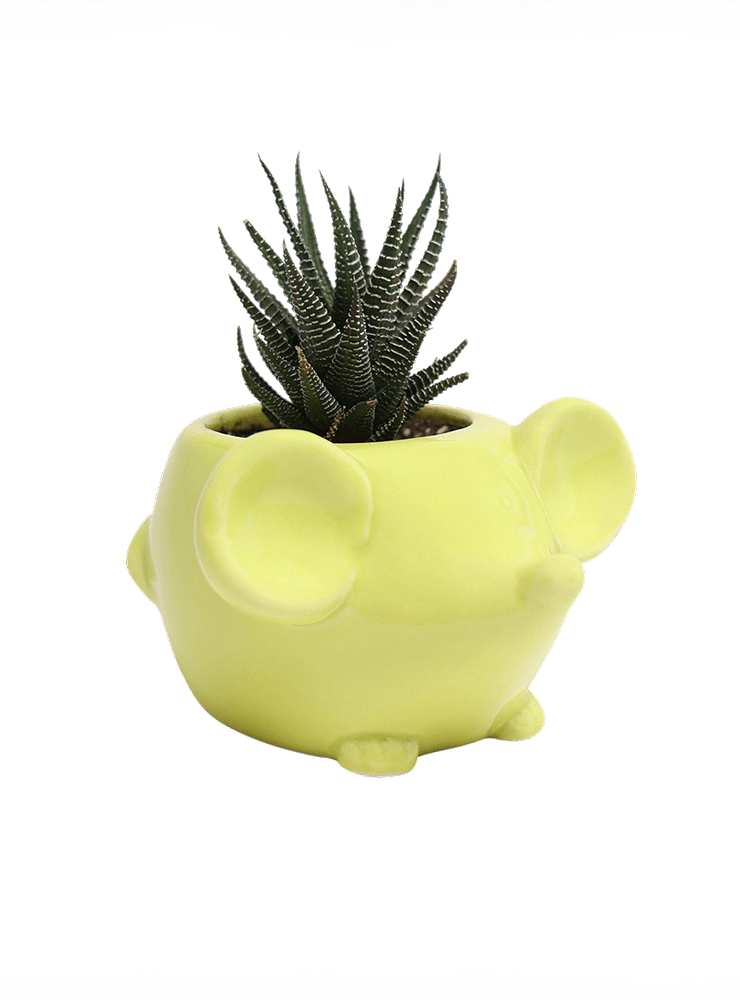 Mouse Ceramic Indoor Plant Pot For Succulents - Chive Ceramics Studio - Pots - Chive US