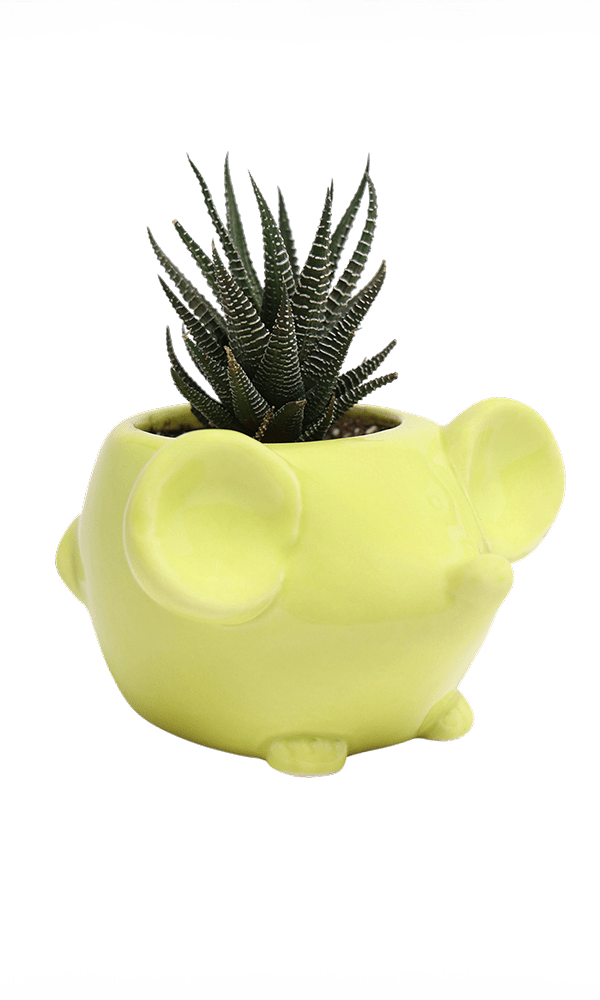 Mouse Ceramic Indoor Plant Pot For Succulents - Chive Ceramics Studio - Pots - Chive US