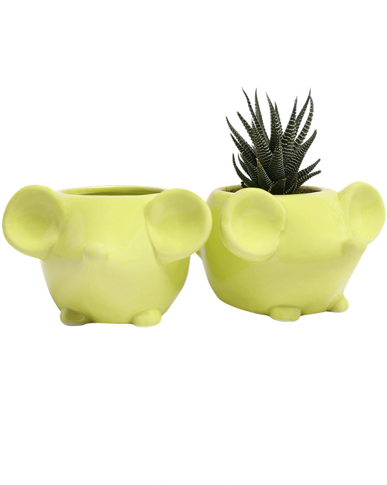 Mouse Ceramic Indoor Plant Pot For Succulents - Chive Ceramics Studio - Pots - Chive US