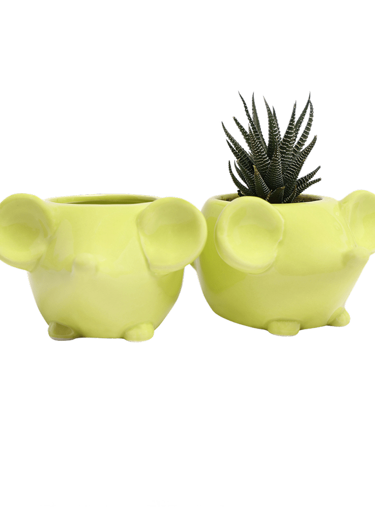 Mouse Ceramic Indoor Plant Pot For Succulents - Chive Ceramics Studio - Pots - Chive US