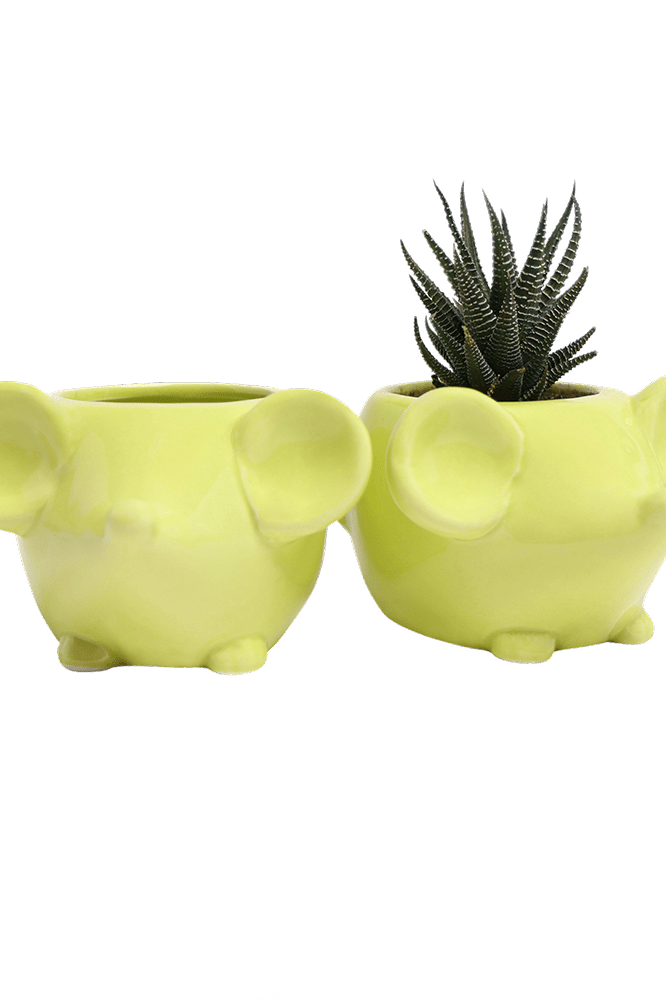 Mouse Ceramic Indoor Plant Pot For Succulents - Chive Ceramics Studio - Pots - Chive US