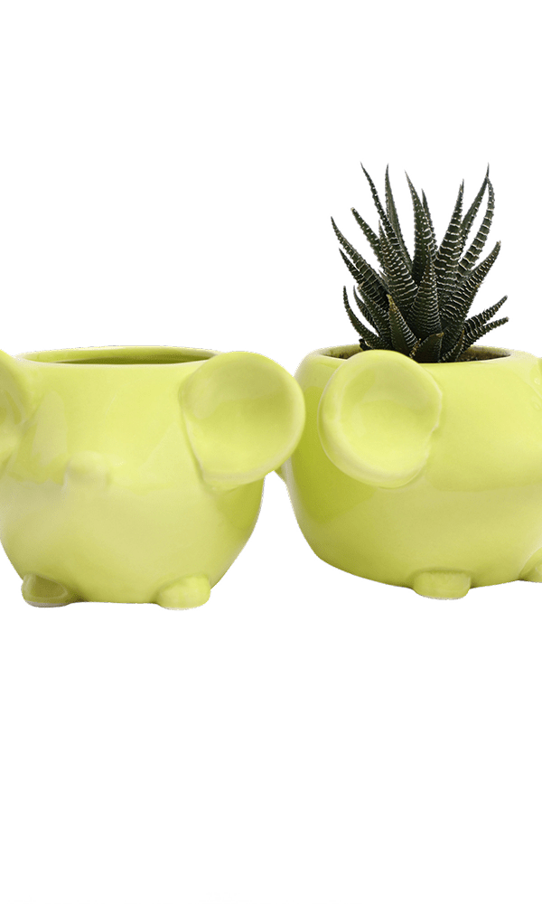 Mouse Ceramic Indoor Plant Pot For Succulents - Chive Ceramics Studio - Pots - Chive US
