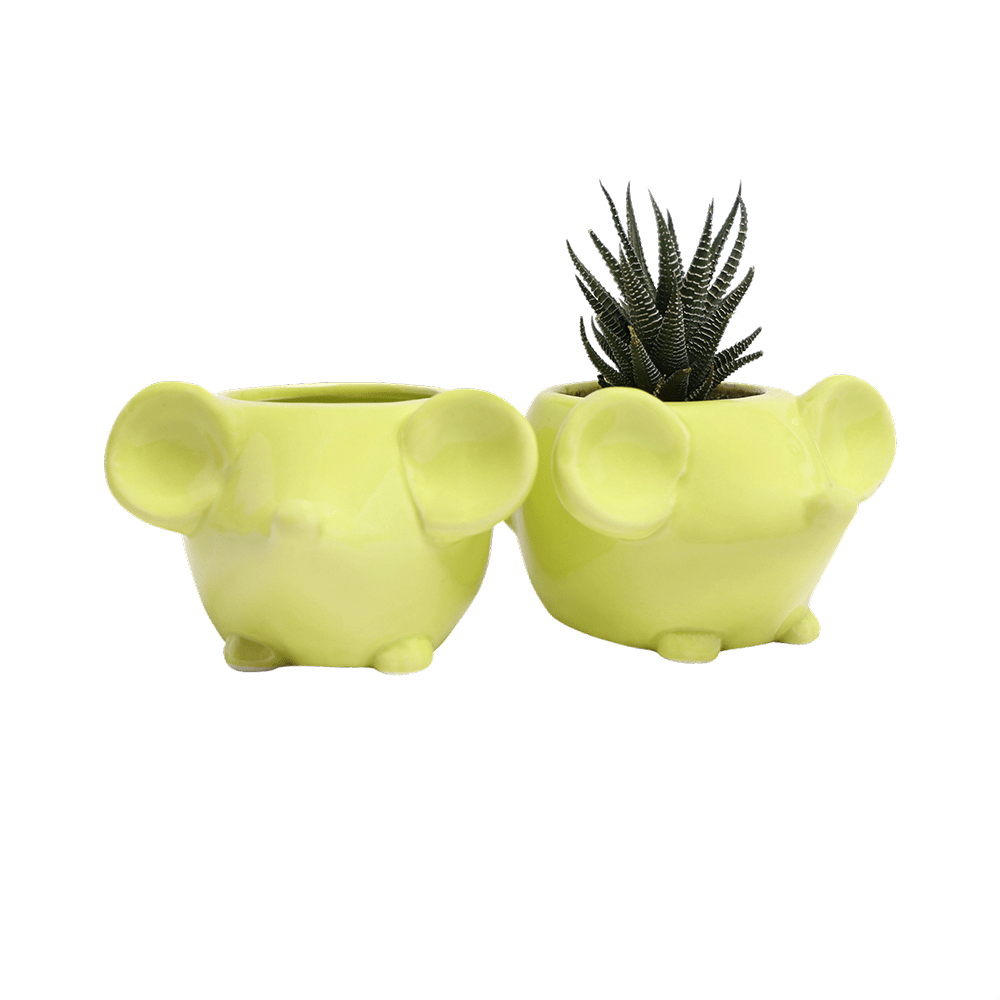Mouse Ceramic Indoor Plant Pot For Succulents - Chive Ceramics Studio - Pots - Chive US