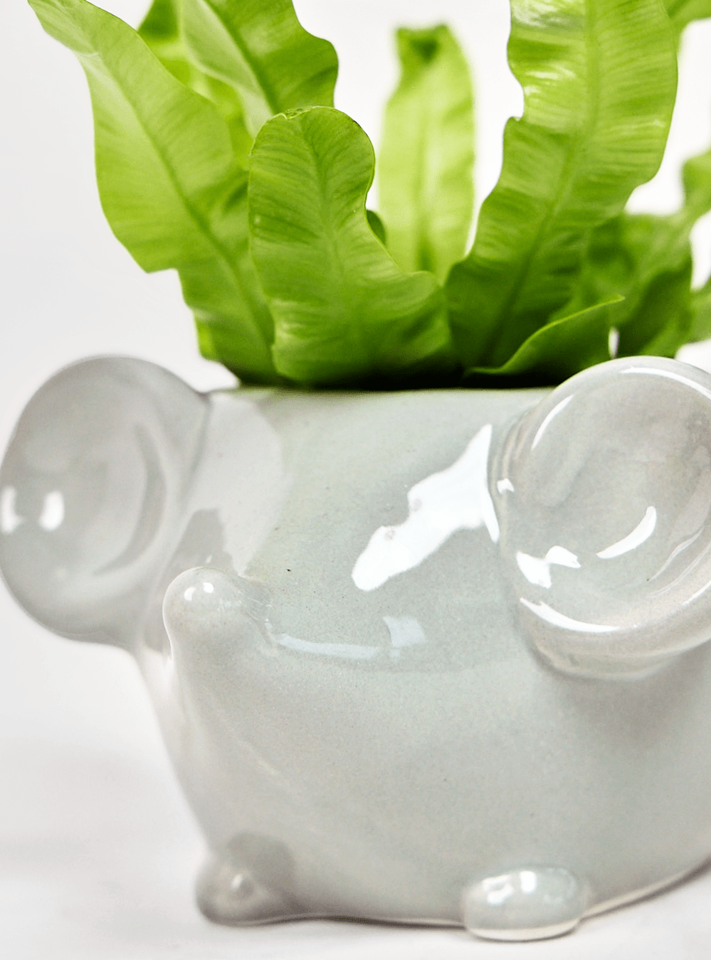 Mouse Ceramic Indoor Plant Pot For Succulents - Chive Ceramics Studio - Pots - Chive US