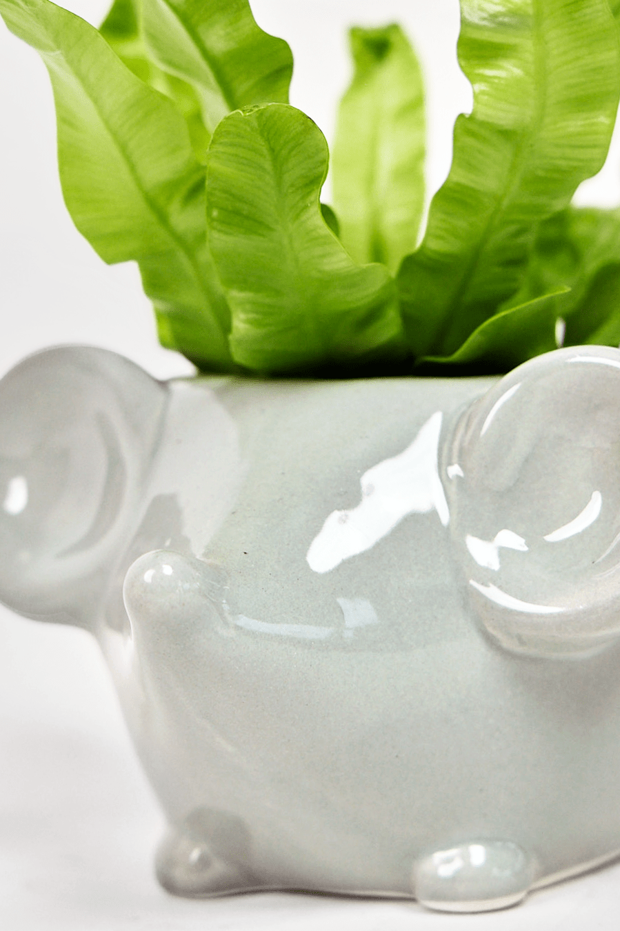 Mouse Ceramic Indoor Plant Pot For Succulents - Chive Ceramics Studio - Pots - Chive US