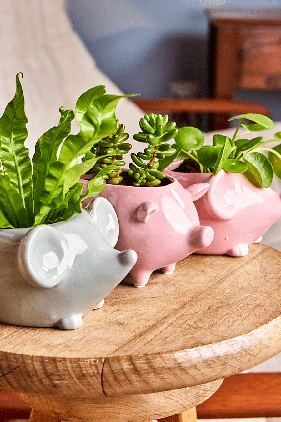 Mouse Ceramic Indoor Plant Pot For Succulents - Chive Ceramics Studio - Pots - Chive US