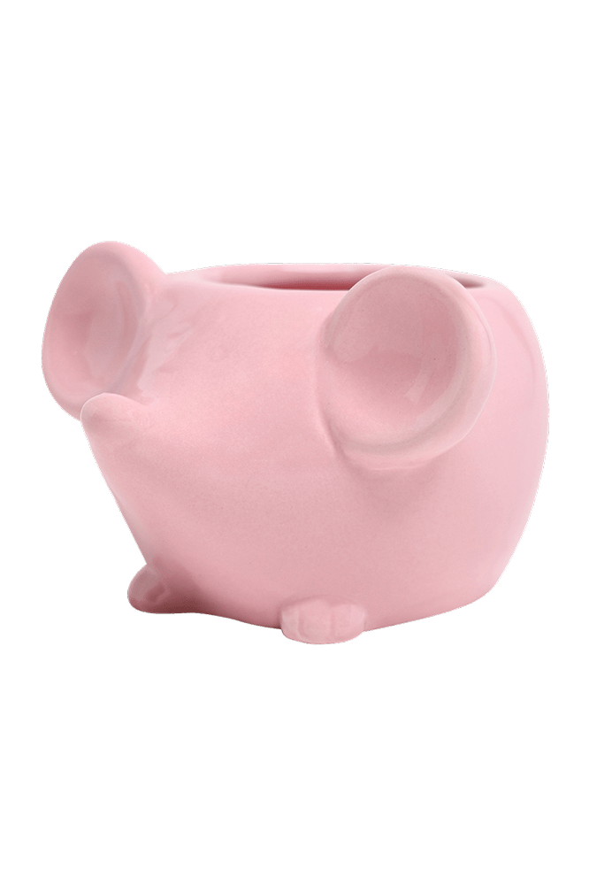 Mouse Ceramic Indoor Plant Pot For Succulents - Chive Ceramics Studio - Pots - Chive US