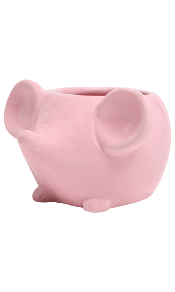 Mouse Ceramic Indoor Plant Pot For Succulents - Chive Ceramics Studio - Pots - Chive US