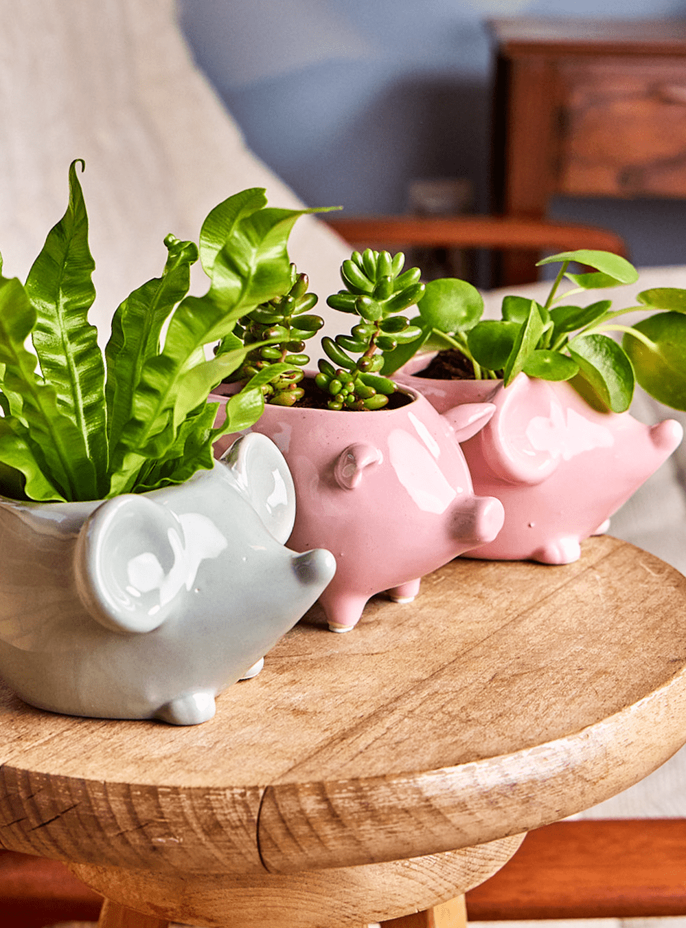 Mouse Ceramic Indoor Plant Pot For Succulents - Chive Ceramics Studio - Pots - Chive US