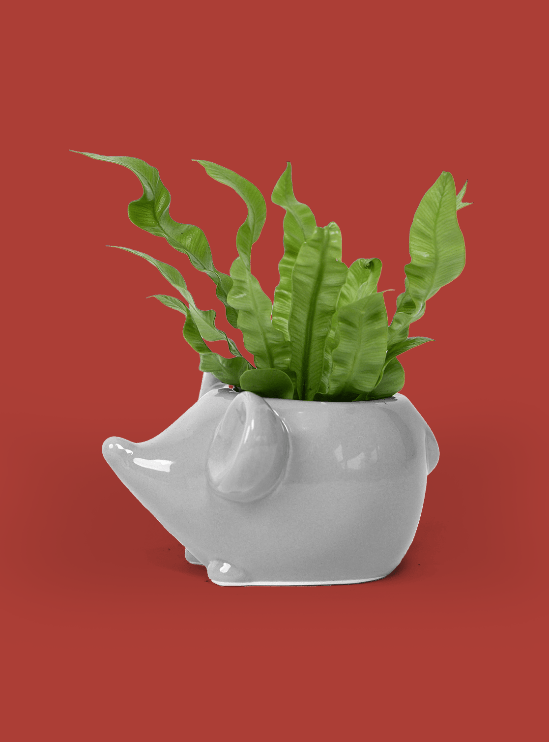 Mouse Ceramic Indoor Plant Pot - Chive Ceramics Studio - Pots - Chive Ceramics Studio