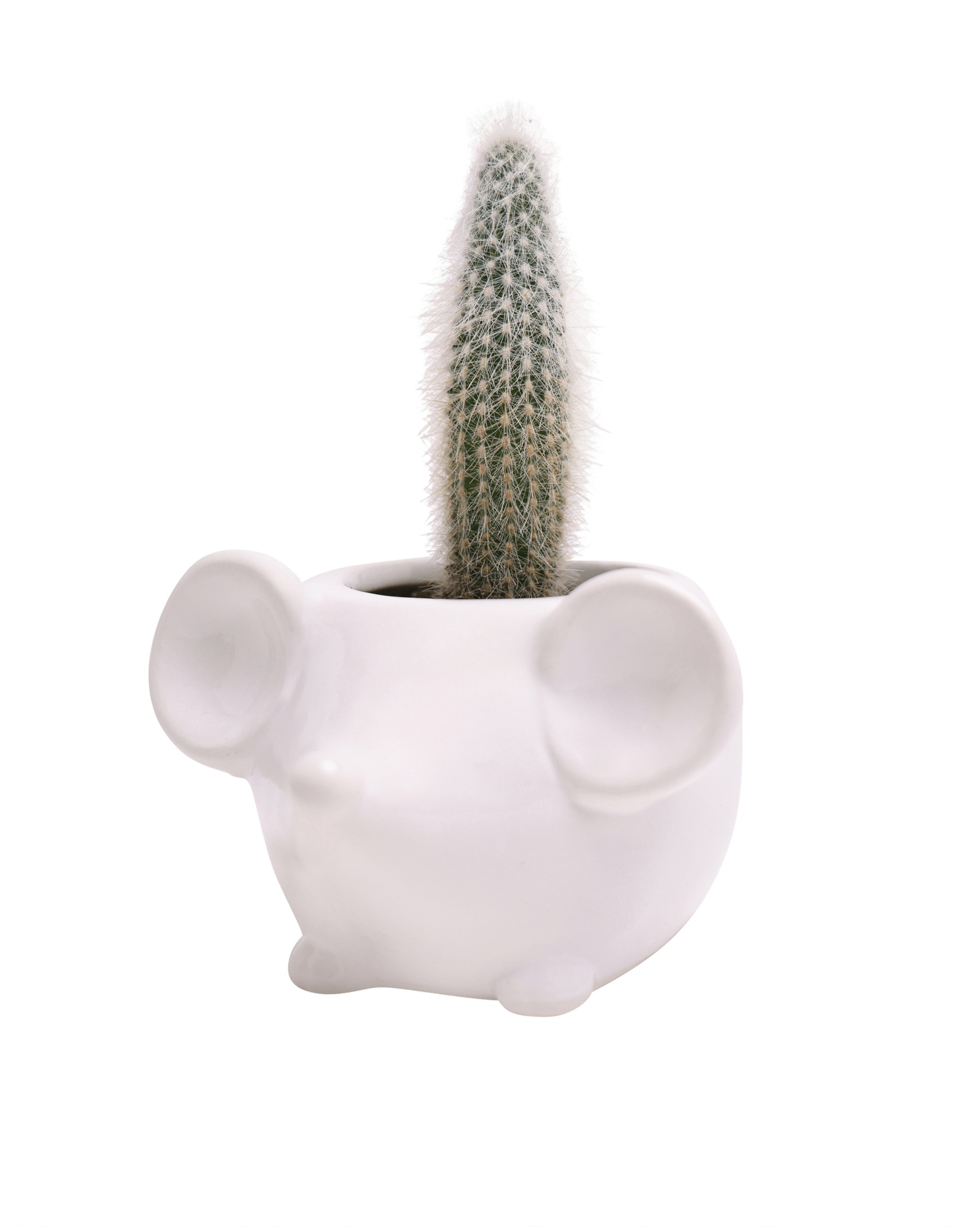 Mouse Ceramic Indoor Plant Pot For Succulents - Chive Ceramics Studio - Pots - Chive US