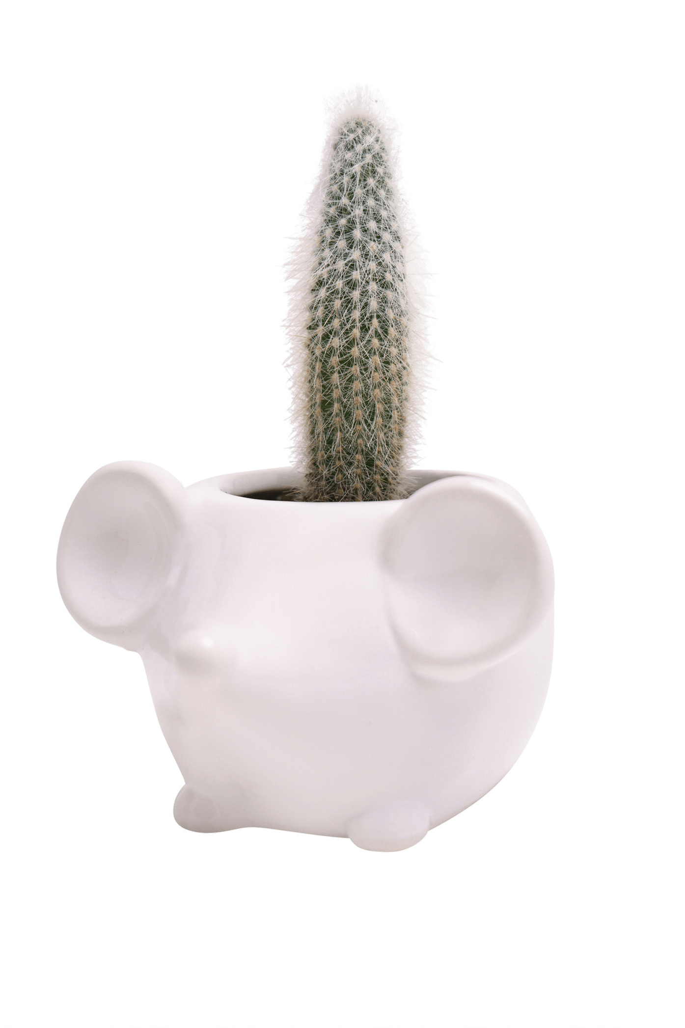 Mouse Ceramic Indoor Plant Pot For Succulents - Chive Ceramics Studio - Pots - Chive US