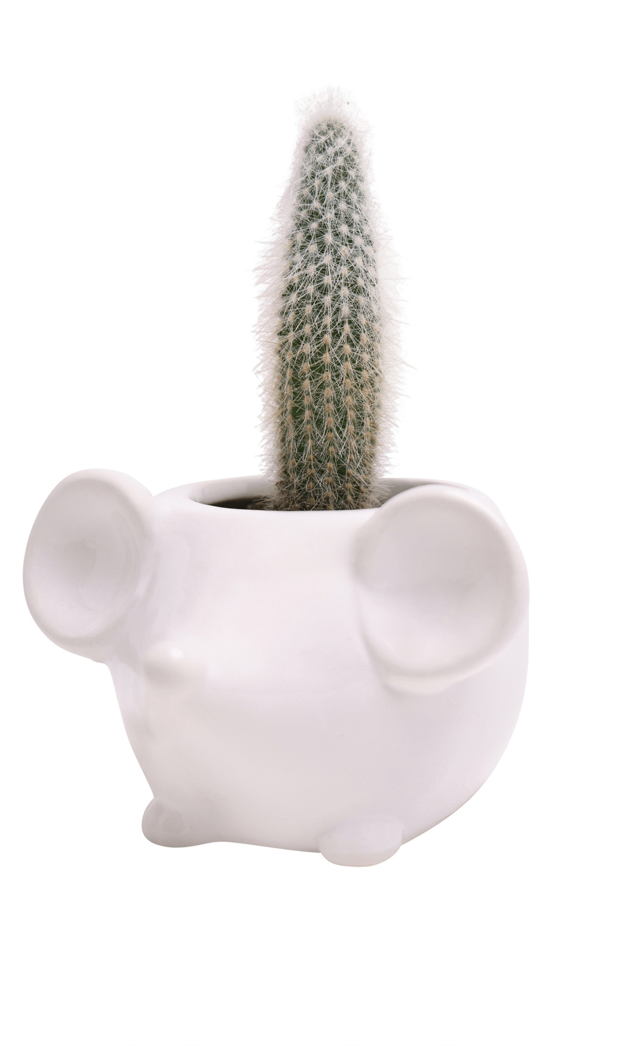 Mouse Ceramic Indoor Plant Pot For Succulents - Chive Ceramics Studio - Pots - Chive US