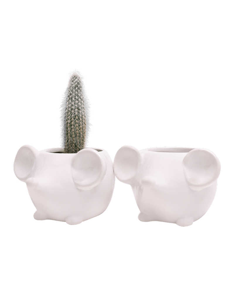 Mouse Ceramic Indoor Plant Pot For Succulents - Chive Ceramics Studio - Pots - Chive US