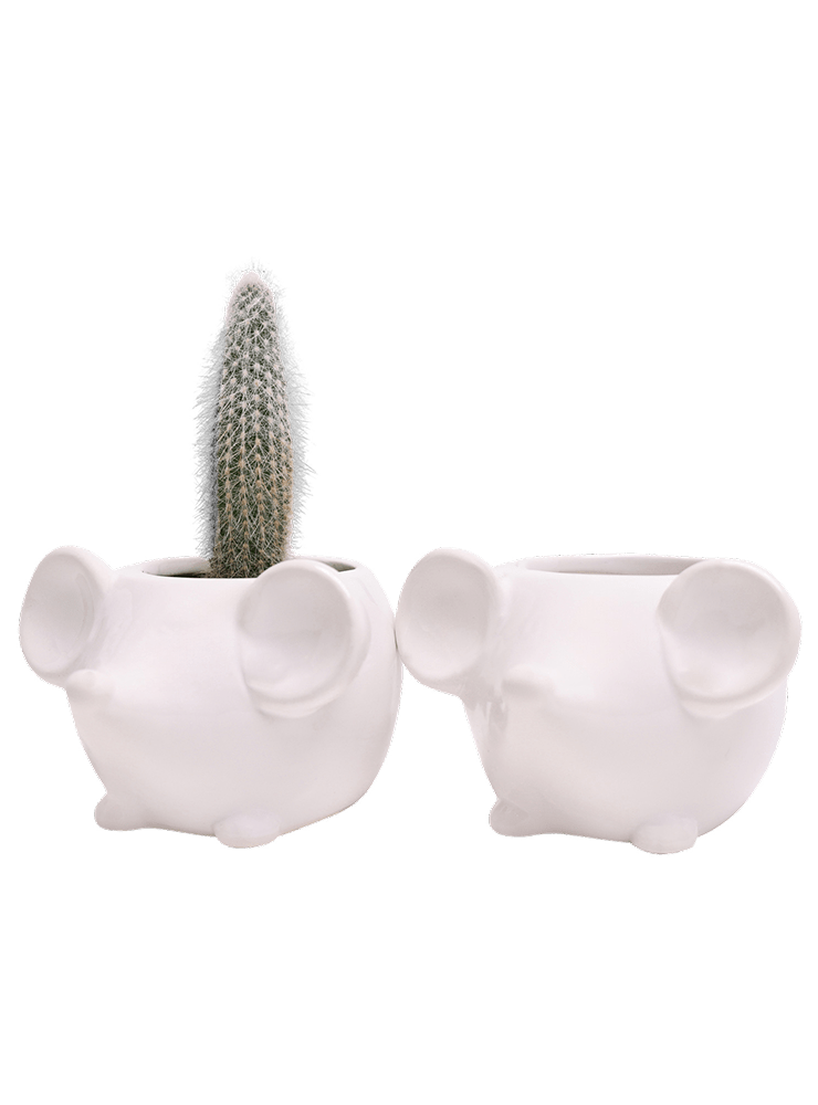 Mouse Ceramic Indoor Plant Pot For Succulents - Chive Ceramics Studio - Pots - Chive US
