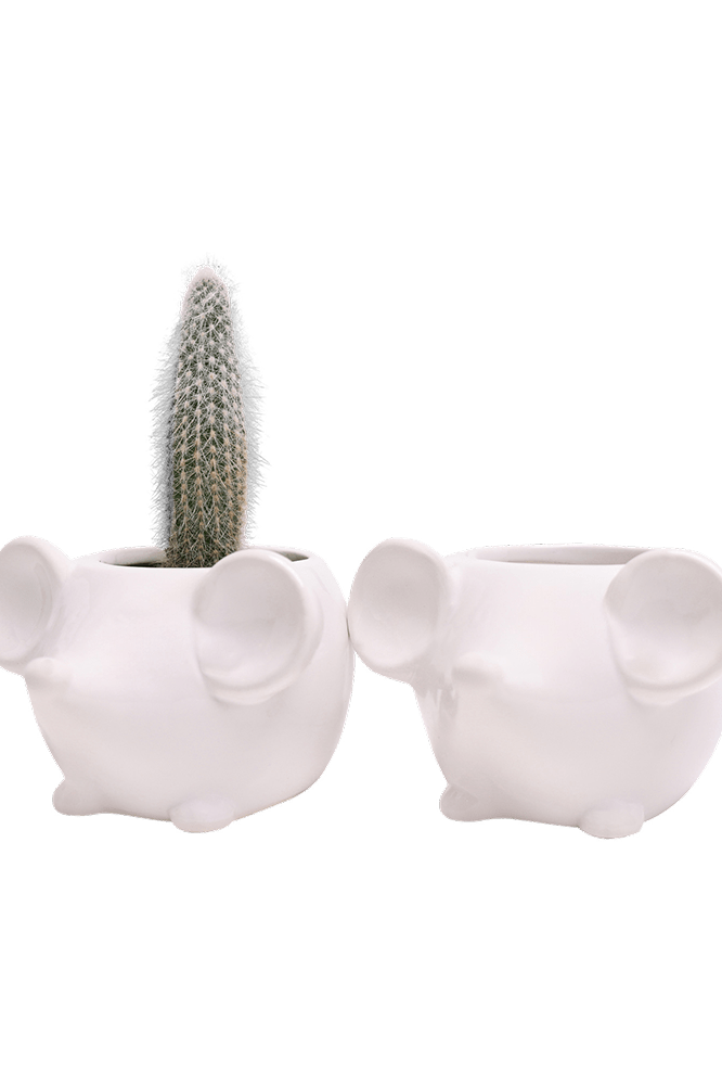Mouse Ceramic Indoor Plant Pot For Succulents - Chive Ceramics Studio - Pots - Chive US