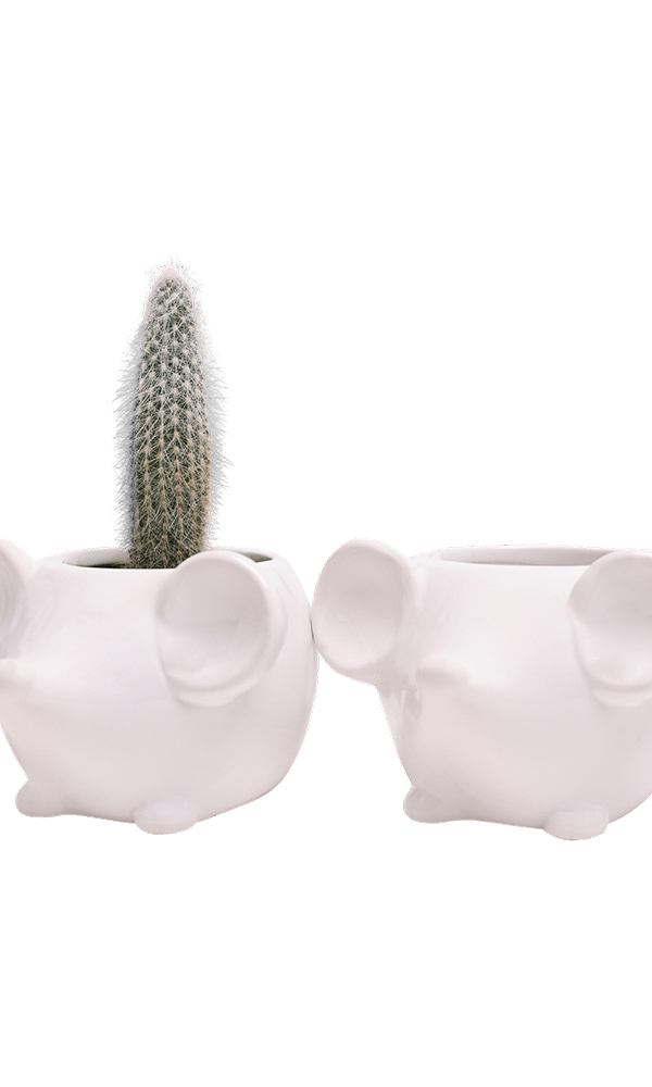 Mouse Ceramic Indoor Plant Pot For Succulents - Chive Ceramics Studio - Pots - Chive US