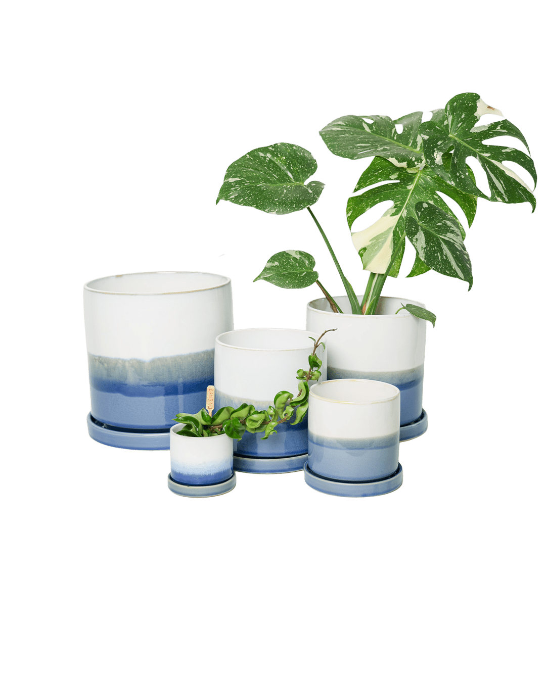 Minute Ceramic Pot And Saucer Set With Drainage | 6, 7, & 8 inch - Chive Ceramics Studio - Pots - Chive Ceramics Studio