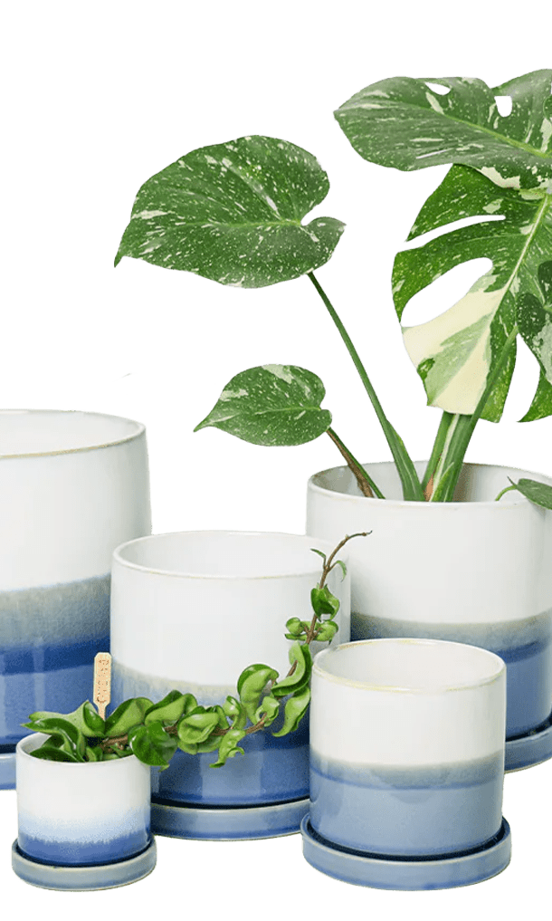 Large Minute Ceramic Pots & Saucer | 6", 7" & 8" Indoor Planter - Chive Ceramics Studio - Pots - Chive Ceramics Studio