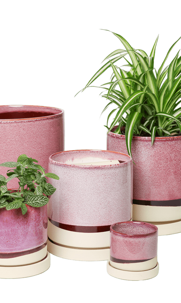 Large Minute Ceramic Pots & Saucer | 6", 7" & 8" Indoor Planter - Chive Ceramics Studio - Pots - Chive Ceramics Studio