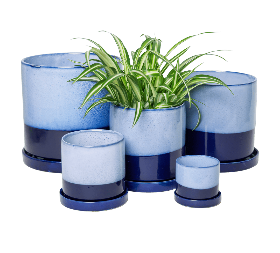 Minute Ceramic Pot And Saucer Set With Drainage | 6, 7, & 8 inch - Chive Ceramics Studio - Pots - Chive Ceramics Studio