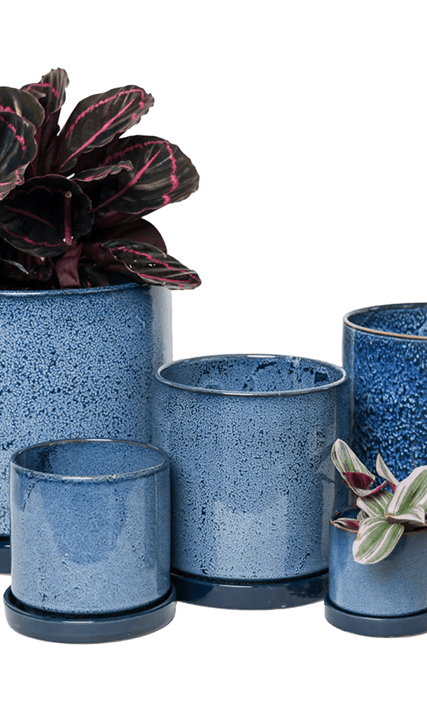 Large Minute Ceramic Pots & Saucer | 6", 7" & 8" Indoor Planter - Chive Ceramics Studio - Pots - Chive Ceramics Studio