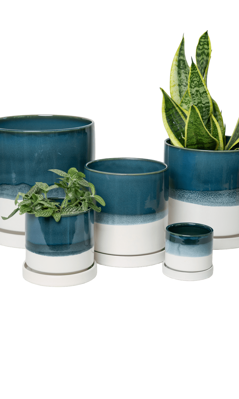 Minute Ceramic Pot And Saucer Set With Drainage | 6, 7, & 8 inch - Chive Ceramics Studio - Pots - Chive Ceramics Studio