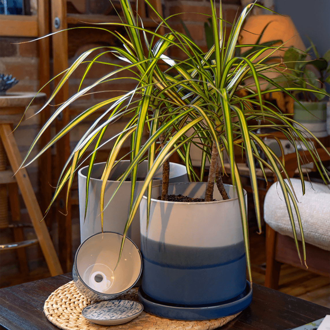 Pots with drainage by chive studio