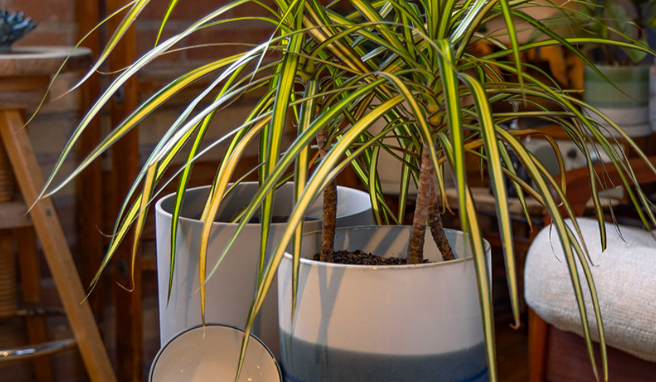 Pots with drainage by chive studio