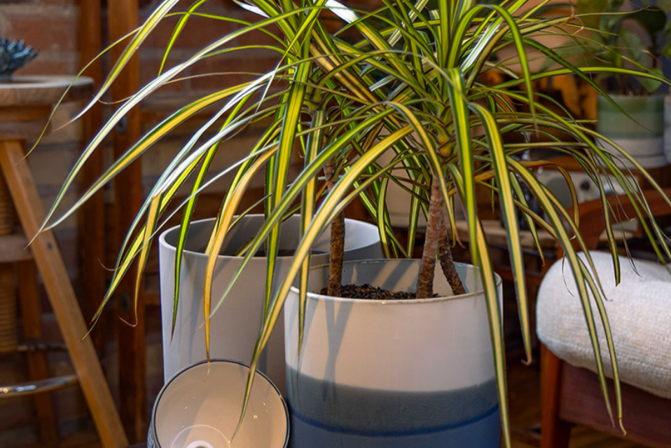 Pots with drainage by chive studio